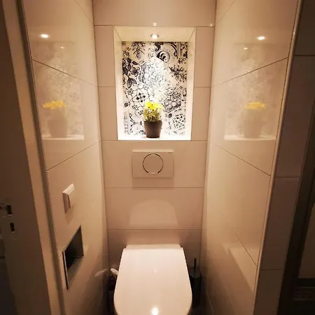 Unique Courtyard House With Sauna In Center Gæstehus Alkmaar