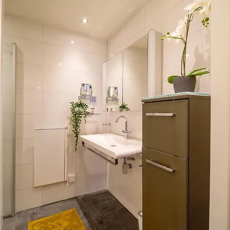 Unique Courtyard House With Sauna In Center ألكمار